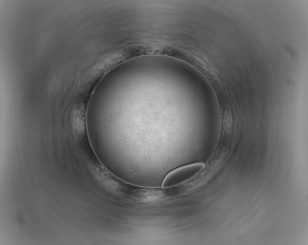 X0000115770719200911131217