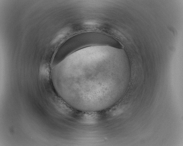 X0000115770720200911131217