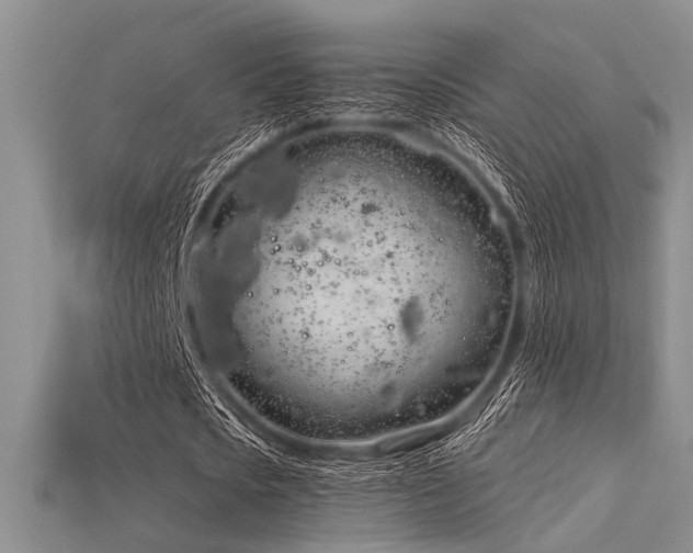 X0000115770721200911131216