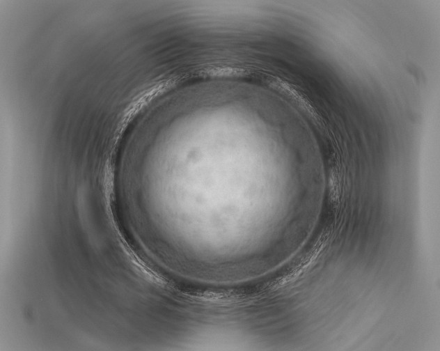 X0000115770725200911131216