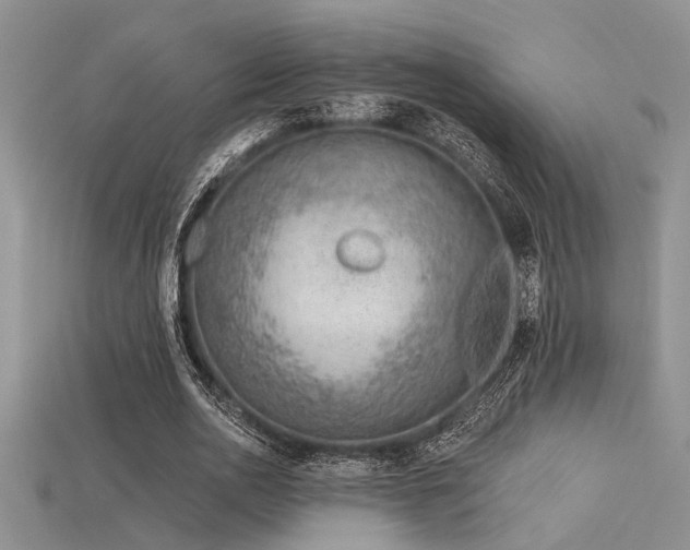 X0000115770726200911131216