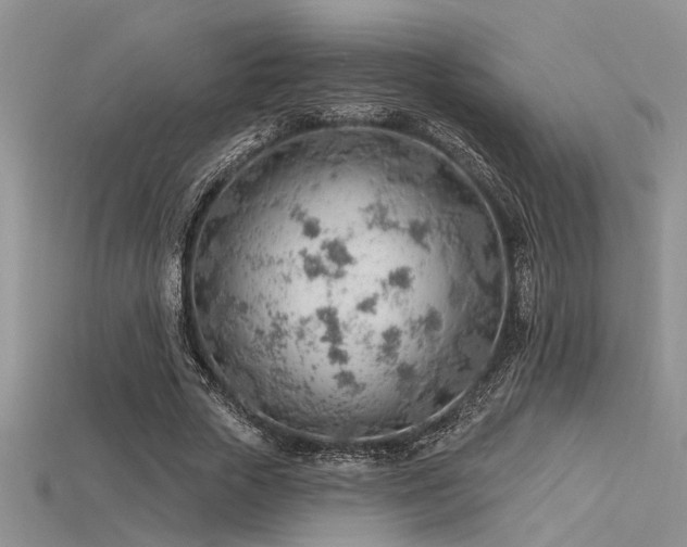 X0000115770729200911131216