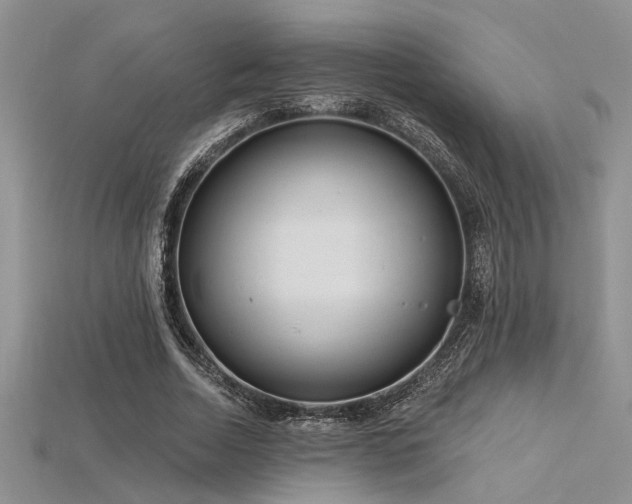 X0000115770730200911131216