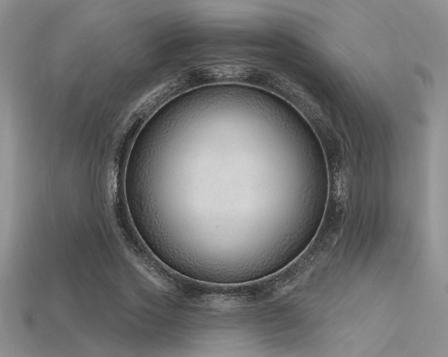 X0000115770733200911131216