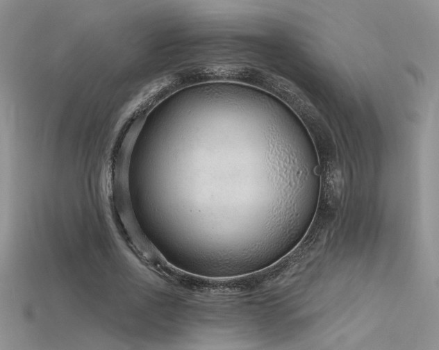 X0000115770734200911131216