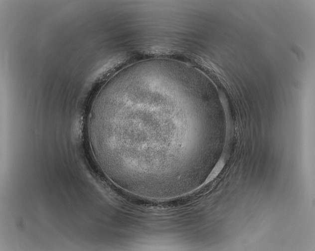 X0000115770735200911131216