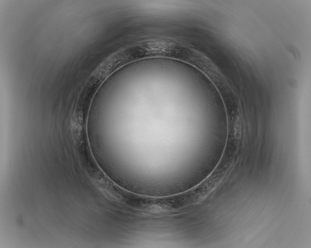 X0000115770737200911131216