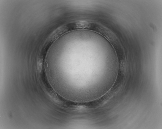 X0000115770741200911131216