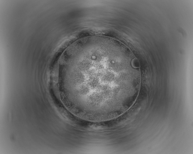 X0000115770742200911131216