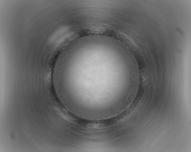 X0000115770745200911131216