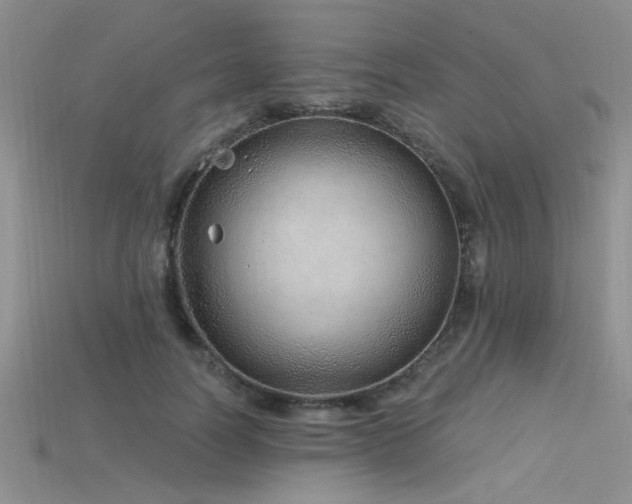 X0000115770746200911131216
