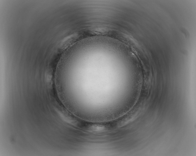 X0000115770749200911131216