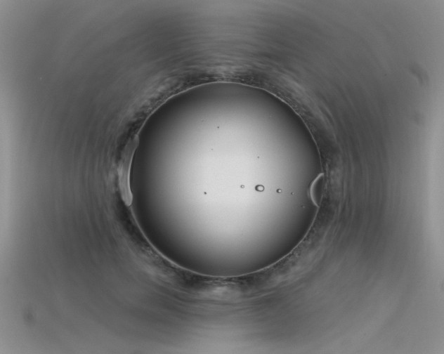 X0000115770750200911131216