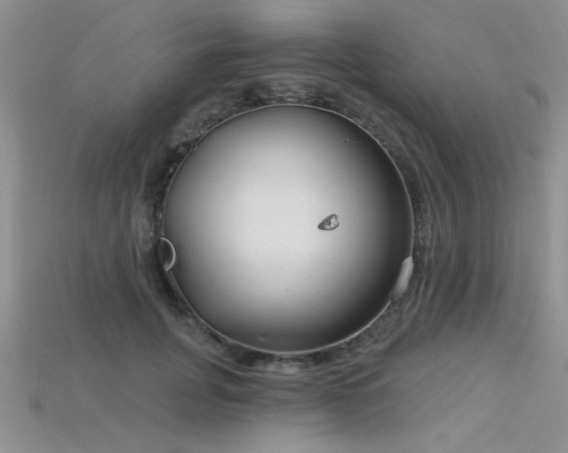 X0000115770751200911131217