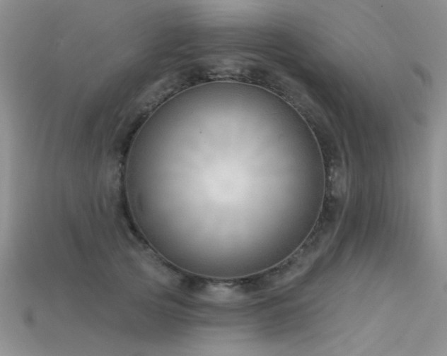 X0000115770753200911131217
