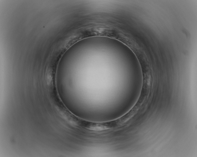 X0000115770754200911131217