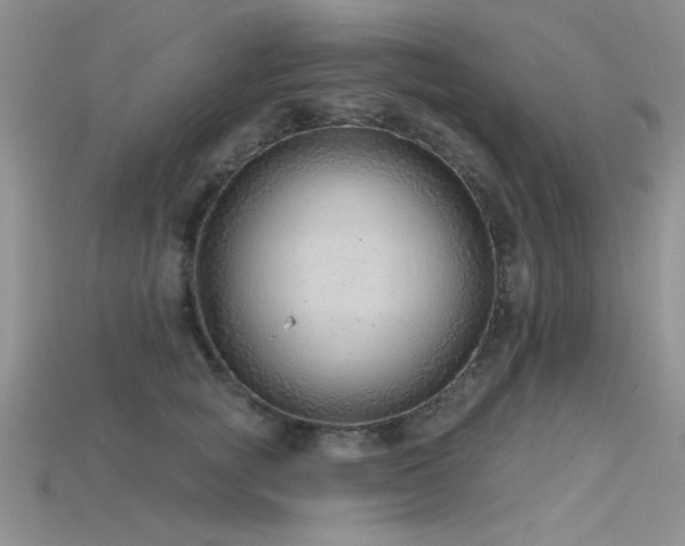 X0000115770757200911131217