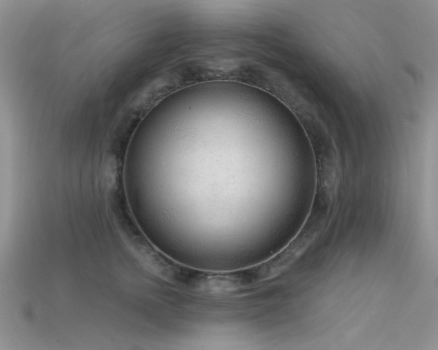 X0000115770758200911131217