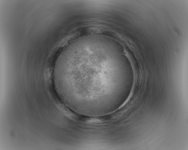 X0000115770759200911131217