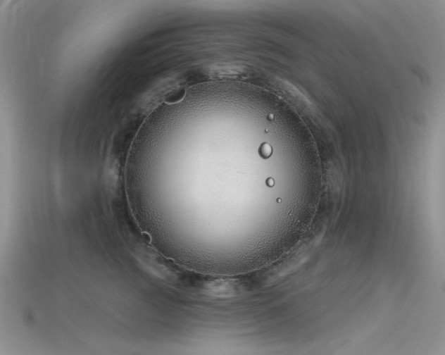 X0000115770761200911131217