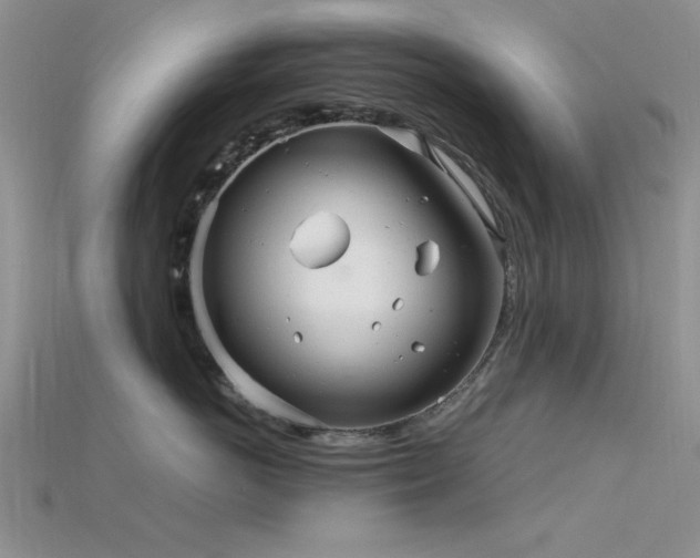 X0000115770766200911131217