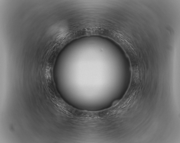 X0000115770770200911131216