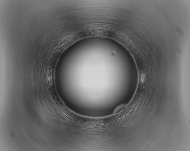 X0000115770771200911131216