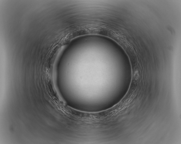 X0000115770772200911131216