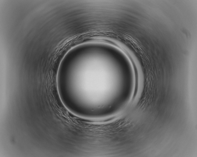 X0000115770773200911131216