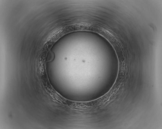 X0000115770774200911131216