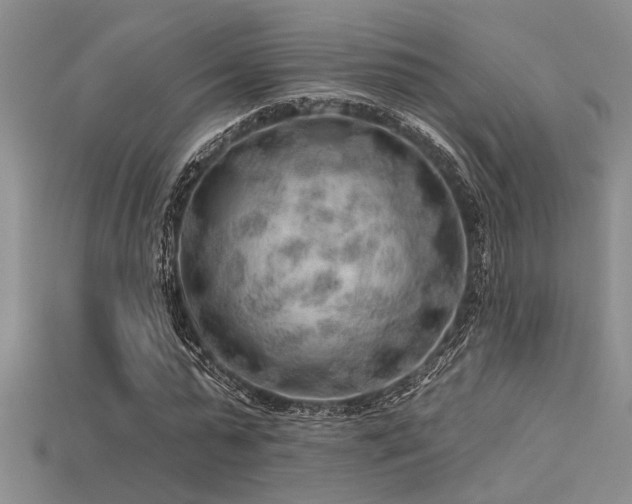 X0000115770775200911131216