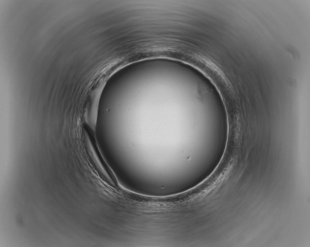 X0000115770777200911131216