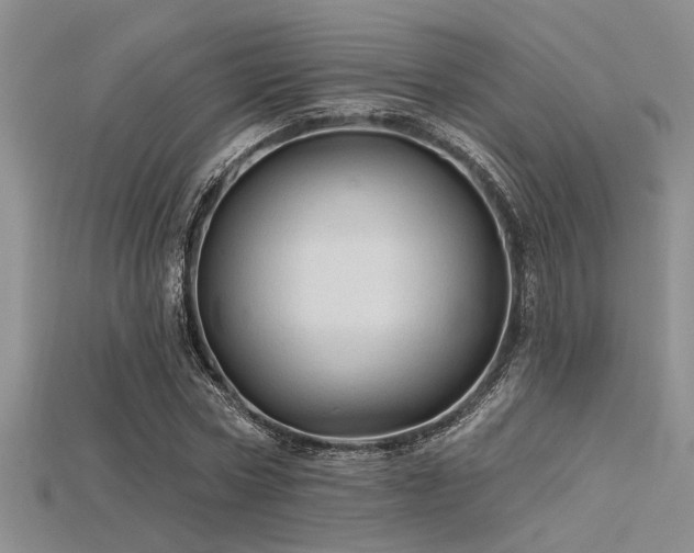 X0000115770778200911131216