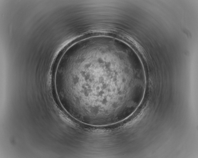 X0000115770779200911131216