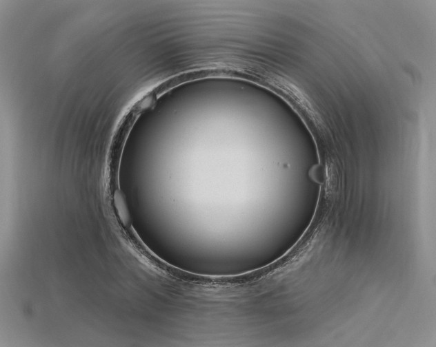 X0000115770780200911131216