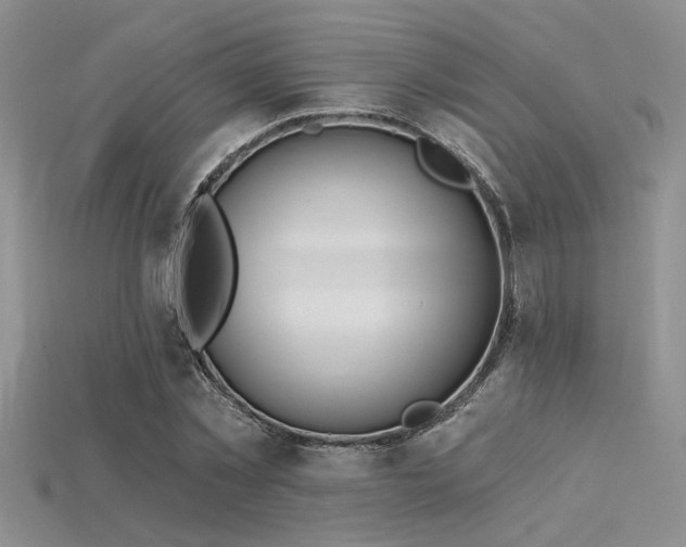 X0000115770781200911131216