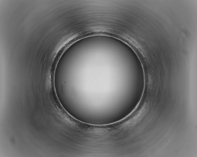 X0000115770782200911131216
