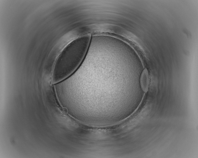 X0000115770785200911131216