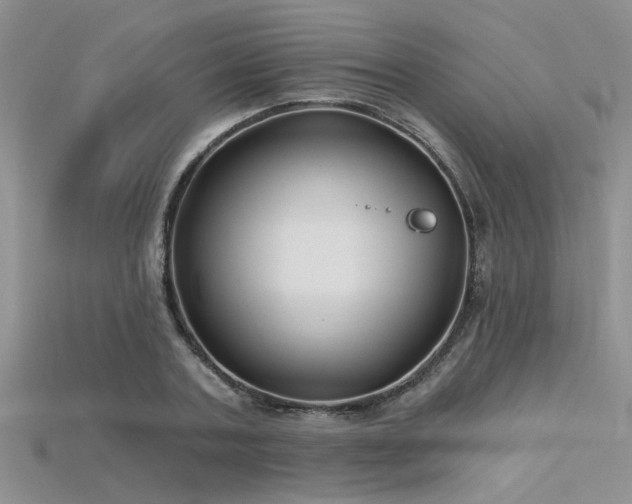 X0000115770787200911131216
