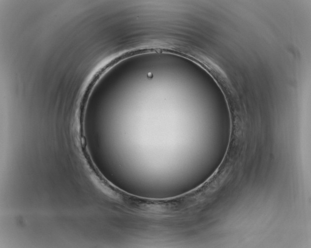 X0000115770792200911131216