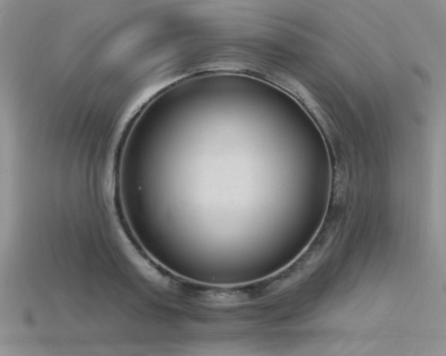 X0000115770795200911131216