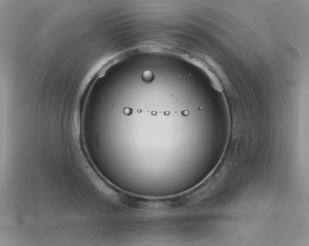 X0000115770796200911131216