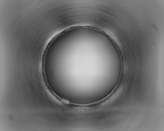X0000115770797200911131216