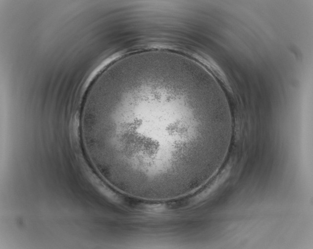 X0000115770798200911131216