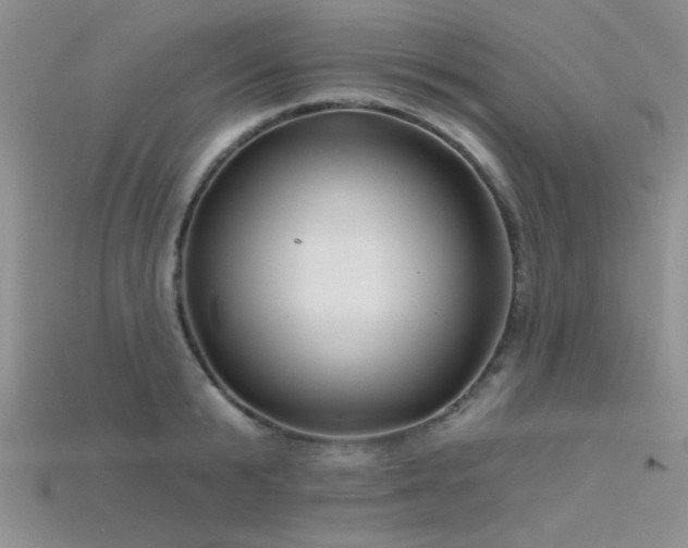 X0000115770799200911131216