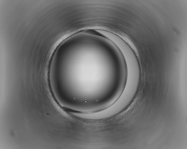 X0000115770805200911131216