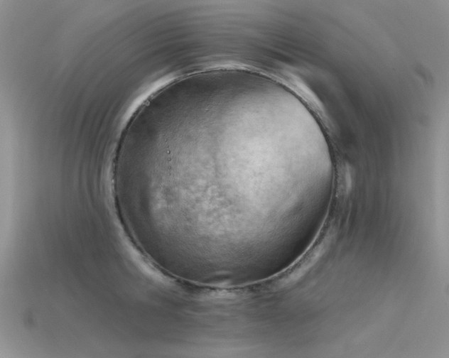 X0000115770806200911131216