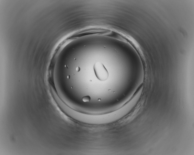 X0000115770807200911131216