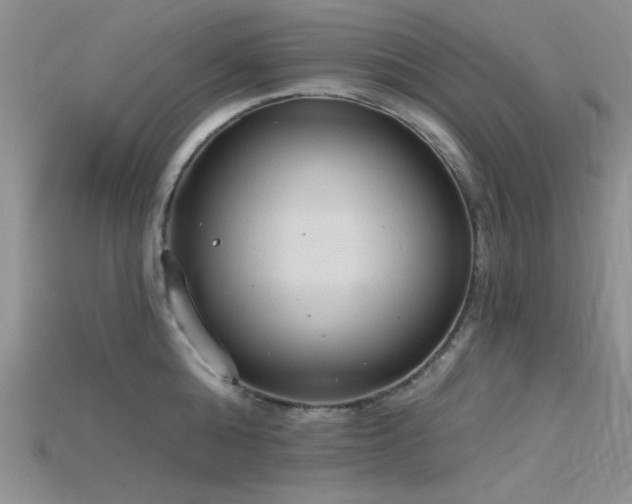 X0000115770808200911131216