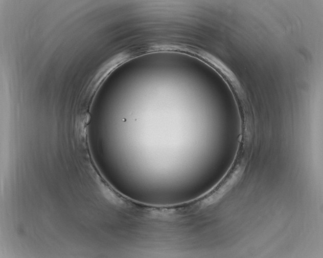 X0000115770809200911131216
